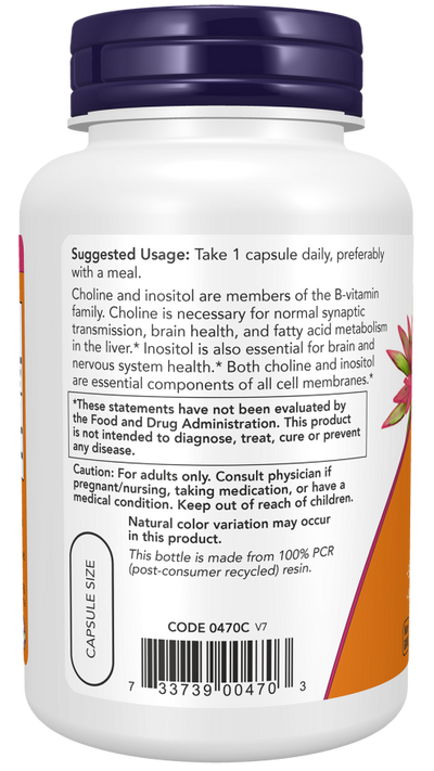 NOW Foods Choline & Inositol Nervous System Health - 100 Veg Capsules